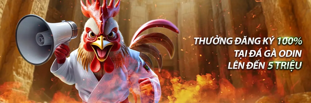 Chiến lược cá cược đá gà hiệu quả