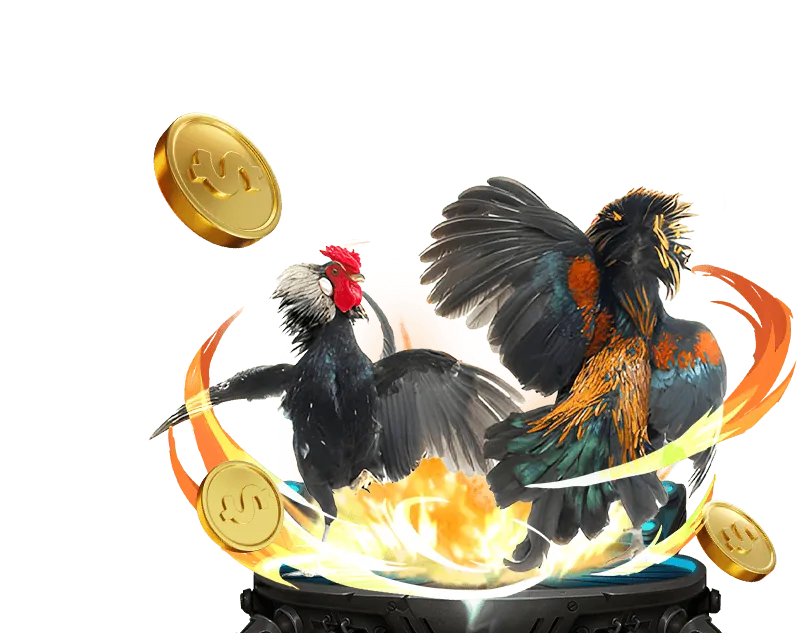 Vòng quay miễn phí ku win